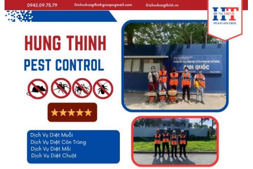 Top 10 Công Ty Dịch Vụ Diệt Muỗi Tại TP. Hồ Chí Minh