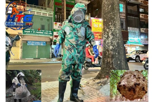 Dịch vụ bắt ong tại Bình Thạnh TP. Hồ Chí Minh,Chuyên nghiệp an toàn giá rẻ Dịch vụ bắt ong tại Bình Thạnh TP. Hồ Chí Minh,Chuyên nghiệp an toàn giá rẻ