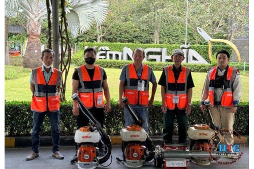 Dịch Vụ Bắt Ong Tại Thủ Đức TP. Hồ Chí Minh