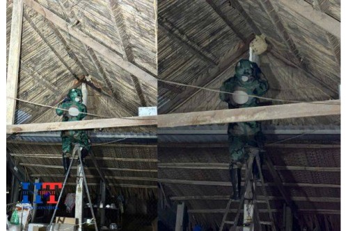 Dịch Vụ Bắt Ong Tại Dĩ An Bình Dương