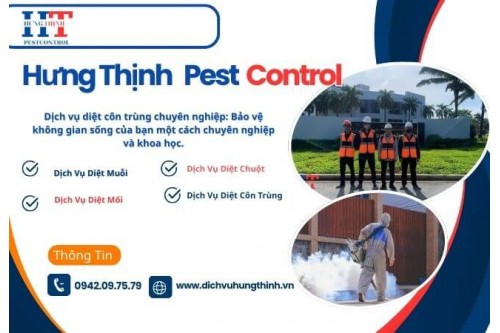 Dịch Vụ Diệt Muỗi, Côn Trùng Tại Thuận An