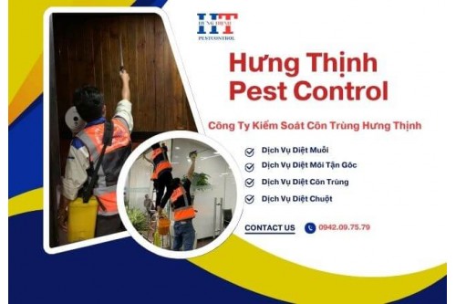 Dịch Vụ Diệt Côn Trùng Tại An Giang 