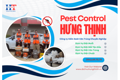 Dịch Vụ Diệt Côn Trùng, Diệt Muỗi Tại Bàu Bàng
