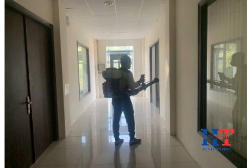 Công Ty Dịch Vụ Diệt Côn Trùng Tại Cà Mau 