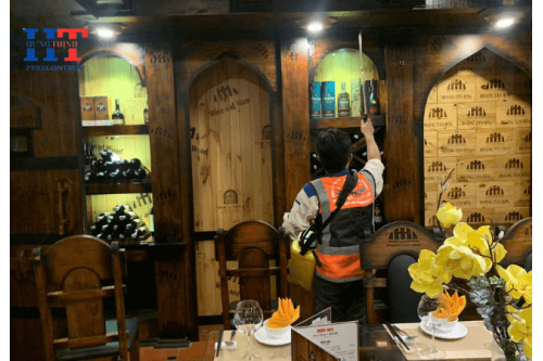 Dịch Vụ Diệt Côn Trùng Tại Dầu Tiếng Bình Dương