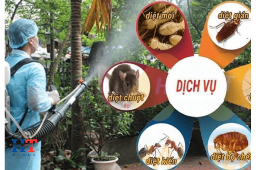 Công Ty Dịch Vụ Diệt Côn Trùng Tại Quận 12 TP. Hồ Chí Minh