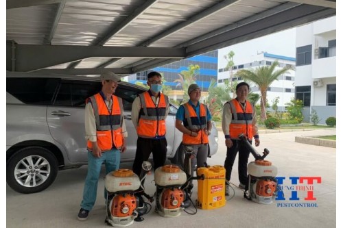 Tác Hại Của Muỗi Và Tập Tính Của Chúng 