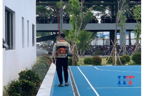 Dịch Vụ Diệt Côn Trùng Tại Hậu Giang