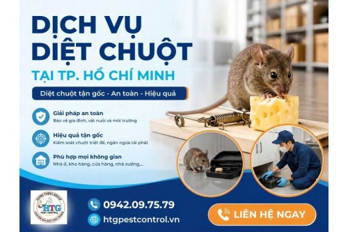 Dịch vụ diệt chuột tại TP.HCM, Uy tín chất lượng giá rẻ