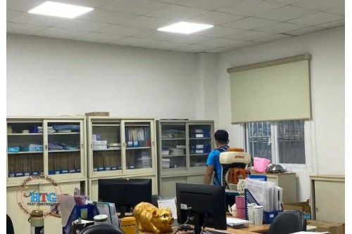 Dịch Vụ Phun Thuốc Diệt Muỗi Tại Quận 11 Giá Rẻ