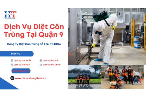Dịch Vụ Phun Thuốc Diệt Muỗi Tại Phú Nhuận Giá Rẻ