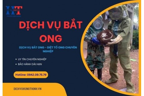 Dịch Vụ Bắt Ong Tại Quận 1 TP. Hồ Chí Minh