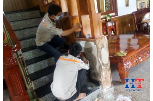 Công Ty Dịch Vụ Diệt Mối Tại TP. Hồ Chí Minh