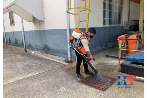 Dịch Vụ Phun Thuốc Diệt Muỗi Tại Quận 2 Giá Rẻ