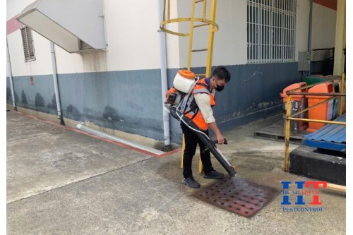 Dịch Vụ Phun Thuốc Diệt Muỗi Tại Tân Uyên Bình Dương Giá Rẻ
