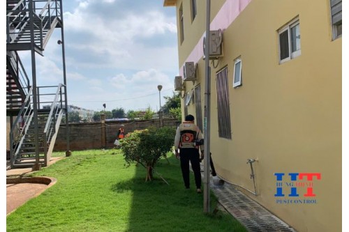 Dịch Vụ Phun Thuốc Diệt Muỗi Giá Rẻ Tại Bến Lức Long An