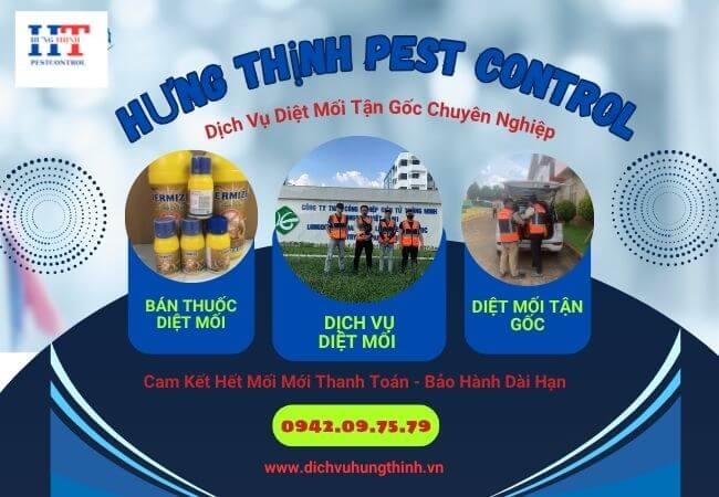 Dịch Vụ Kiểm Soát Côn Trùng Là Gì ?