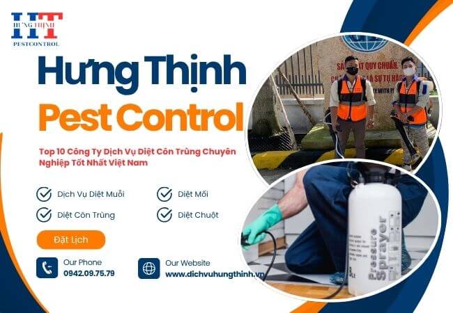 Tác Hại Của Côn trùng Gây Ra Với Con Người